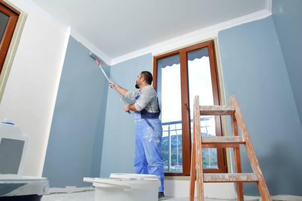 Best Mold Prevention Services  in Devine, TX