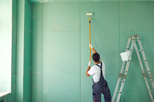 Best Industrial Mold Remediation  in Devine, TX