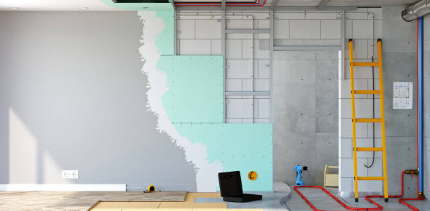 Best Post-Construction Mold Inspection  in Devine, TX