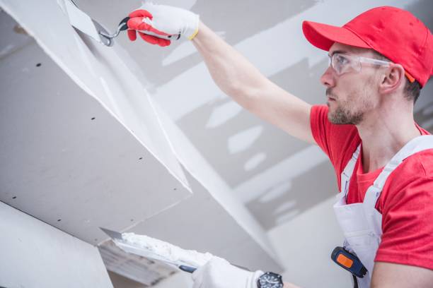 Best Emergency Mold Remediation  in Devine, TX